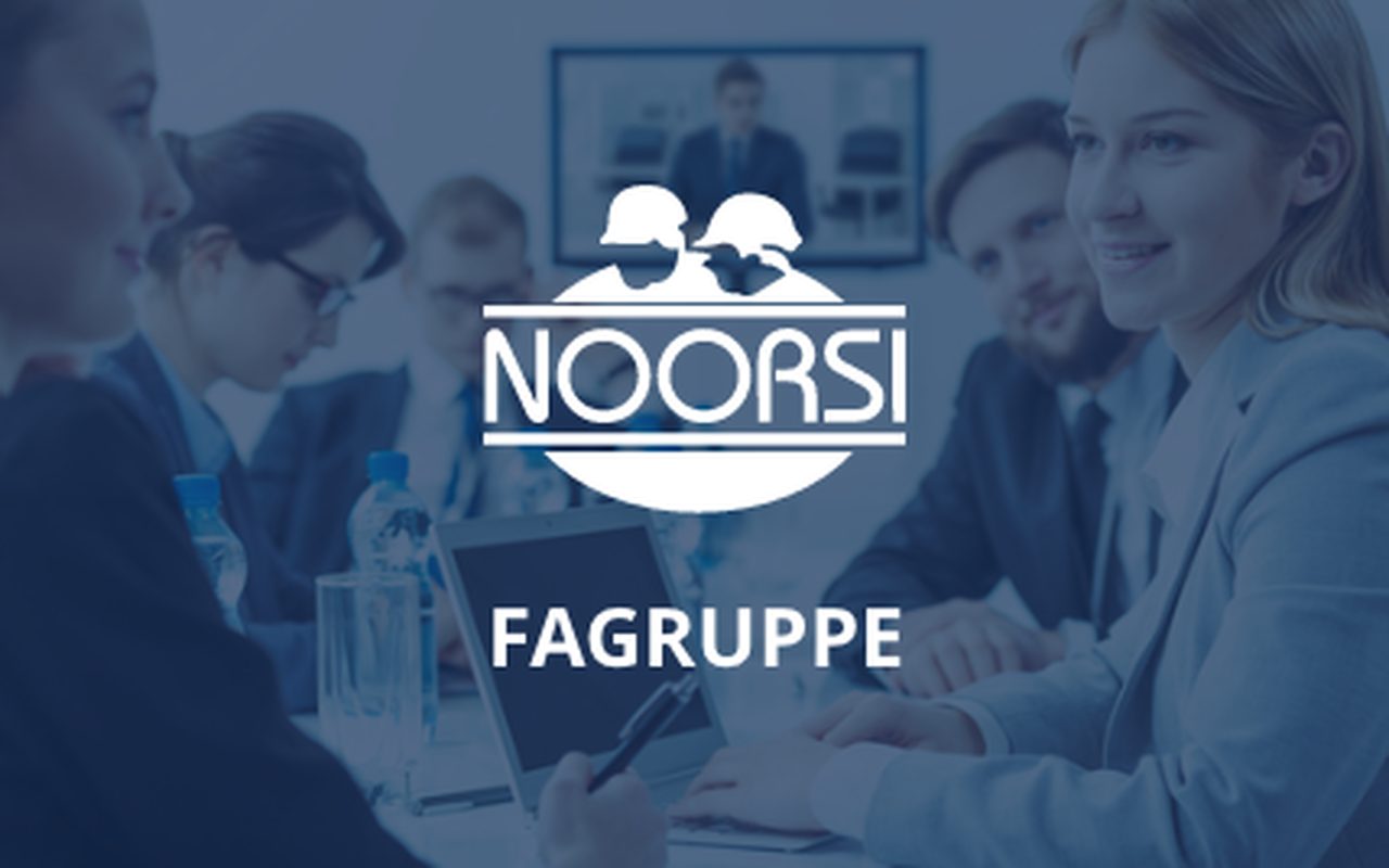 Faggruppe i NOORSI