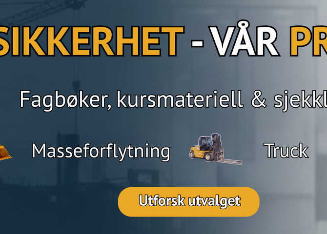 Nettsidebanner - NOORSI